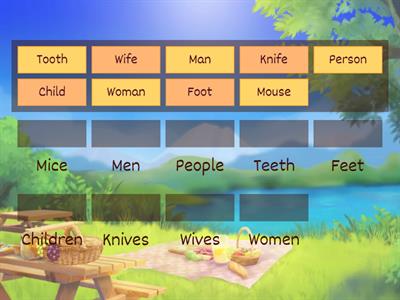 Plurals (beginner)