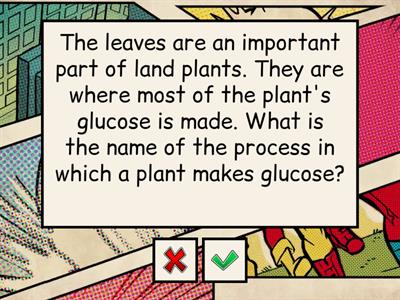 Plant Nutrition