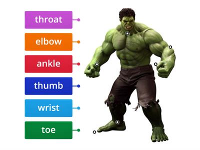 Hulk's parts of the body