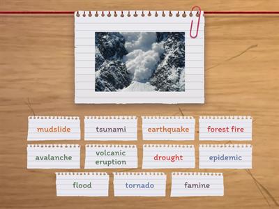 Solutions Pre Unit 4C Vocabulary