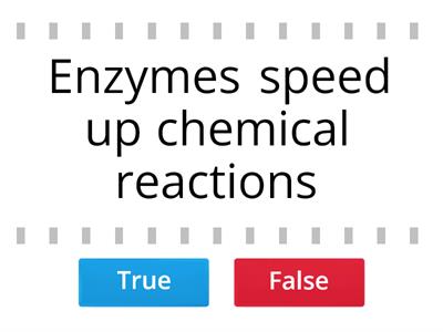 Enzyme True or False