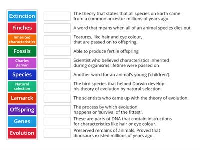 Evolution