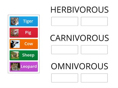u4-1°-animals clasify herbivorous, carnivorous and omnivorous