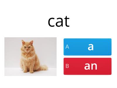 P.1 Unit 4 - Using a / an