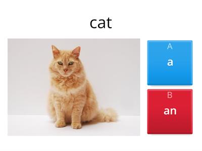 P.1 Unit 4 - Using a / an