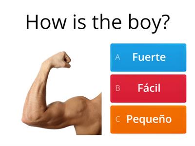 How do you say these words in Spanish?