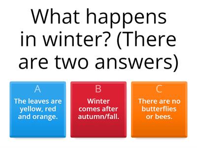 Winter Quiz