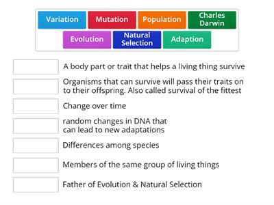 Evolution & Natural Selection