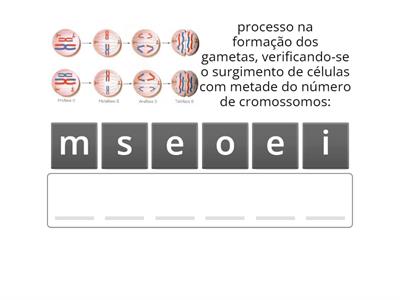 Reprodução Assexuada