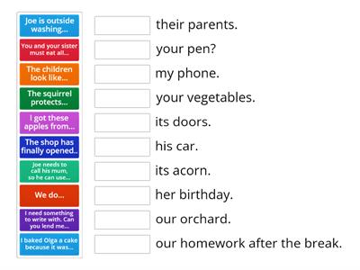 possessive pronouns: match them up