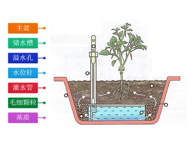 认识储水种植系统（一）