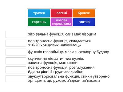 Органи дихання