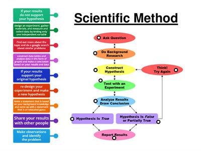 Scientific Method (flow chart)