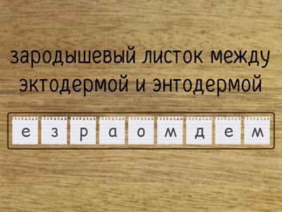 Митоз, мейоз, онтогенез.