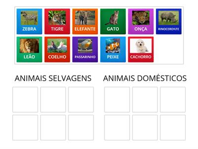 ANIMAIS SELVAGENS X ANIMAIS DOMÉSTICOS