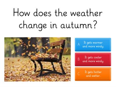 Autumn Quiz
