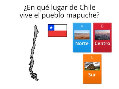 Pueblo mapuche