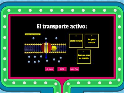 Tipos de transporte de membrana. 