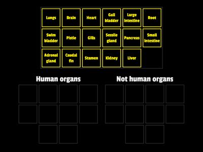 Human organs or not?