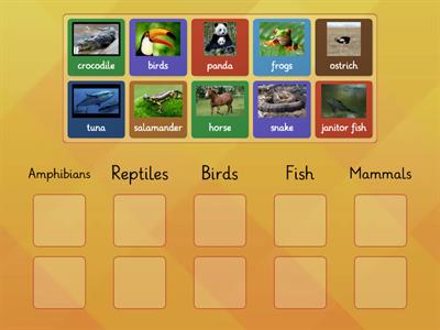To identify animals as mammals, birds, fish, reptiles and amphibians .