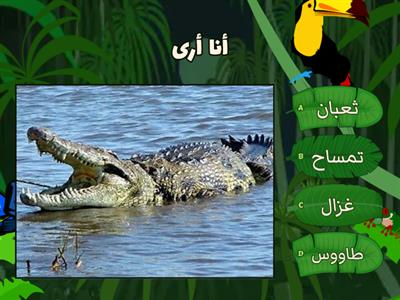 Copy of حديقة الحيوان