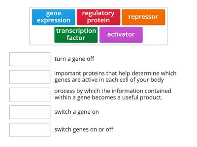 Gene Expressions