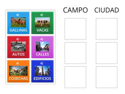 Campo - Ciudad