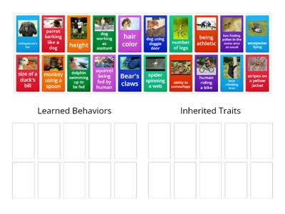 Inherited Traits vs. Learned Behaviors