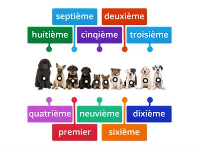 Ordinal numbers in French.
