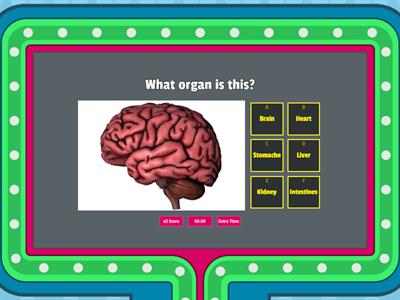 Grade 5 Organs