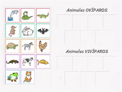 Animales Ovíparos Y Vivíparos - Recursos Didácticos