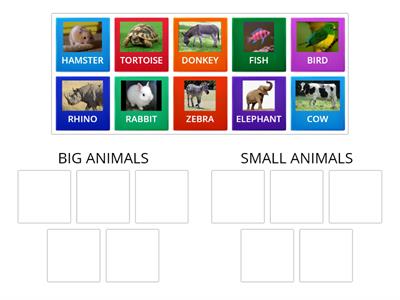 ANIMALS - BIG OR SMALL?