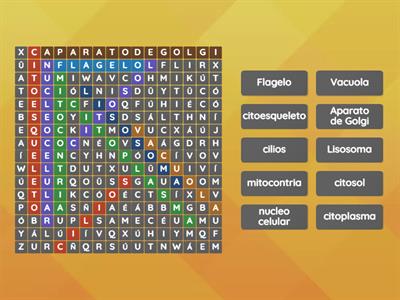 Realizar siguiente sopa de letras sobre las partes de la célula eucariota