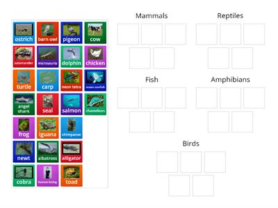 Classifying vertebrates