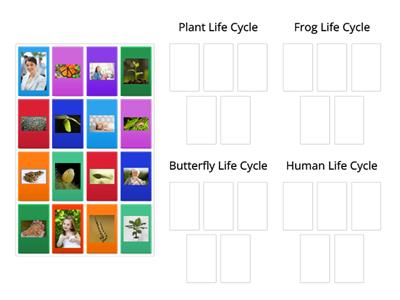 Life Cycle Sort