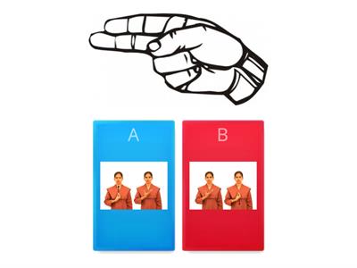  Sign Language