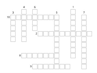 Sinónimos C1/C2 Nº5