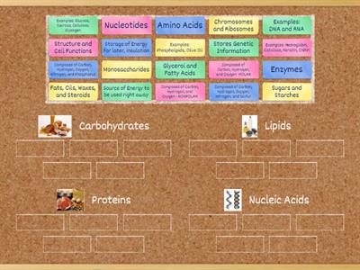 Macromolecules