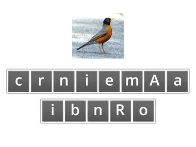 Birds (anagram)