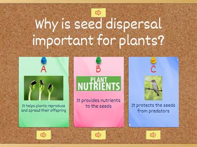 Seed Dispersal: Understanding its Definition, Importance, and Agents
