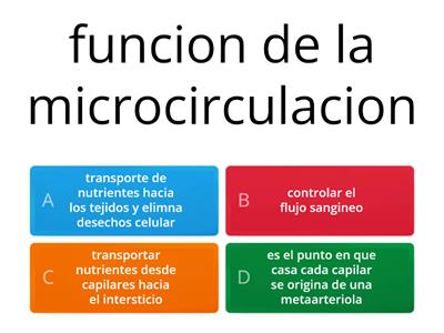 microcirculacion Fisiologia