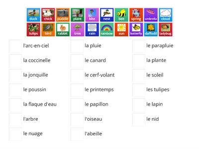  French Grade 3&4 Spring Vocabulary