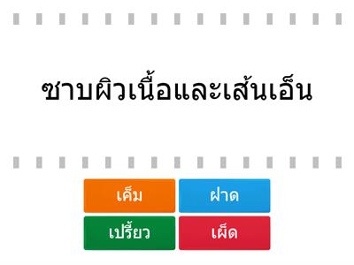 รสยา 4 รส (คัมภีร์ธาตุวิภังค์)