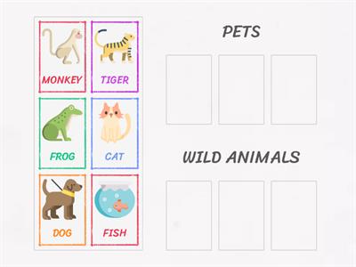 Pets and wild animals