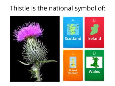 Capital cities and national symbols of UK