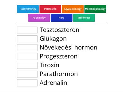 Egyezés - Hormonok