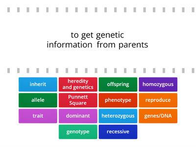 Heredity Vocabulary - Wordwall