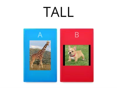 Tall or short? Fat or thin? 