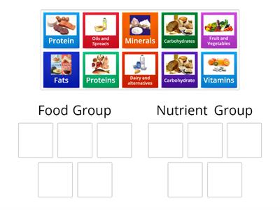 Nutrient or Food Group?