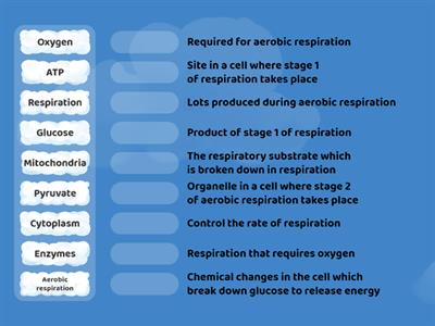 Aerobic Respiration (N5)